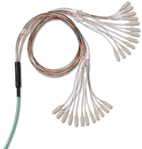 XGLO LightSystem Fiber Trunking Cable Assembly